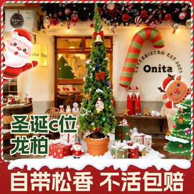 【送货上门】圣诞树龙柏装饰礼物