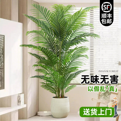 6S级仿真散尾葵高端轻奢无味无害