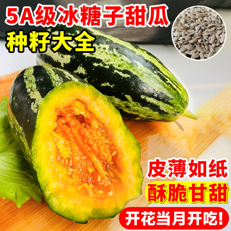 冰糖子甜瓜种籽大全羊角蜜种孑博洋9脆香瓜籽种植菜种子甜瓜苗阳