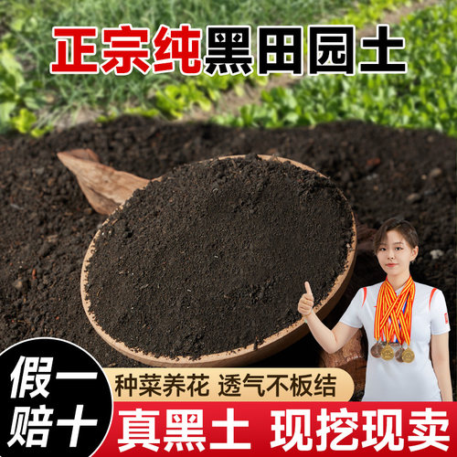【精品】纯正黑田园土有机种菜土