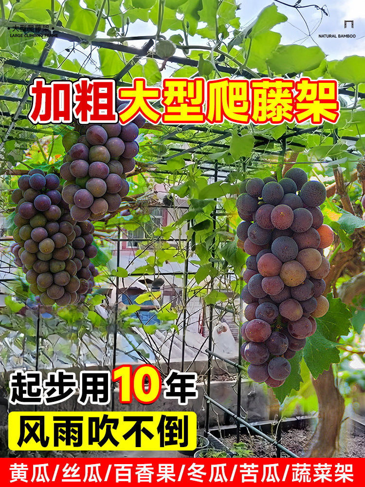 葡萄架爬藤架黄瓜爬藤架子庭院户外瓜棚苦瓜丝瓜百香果牵引专用架