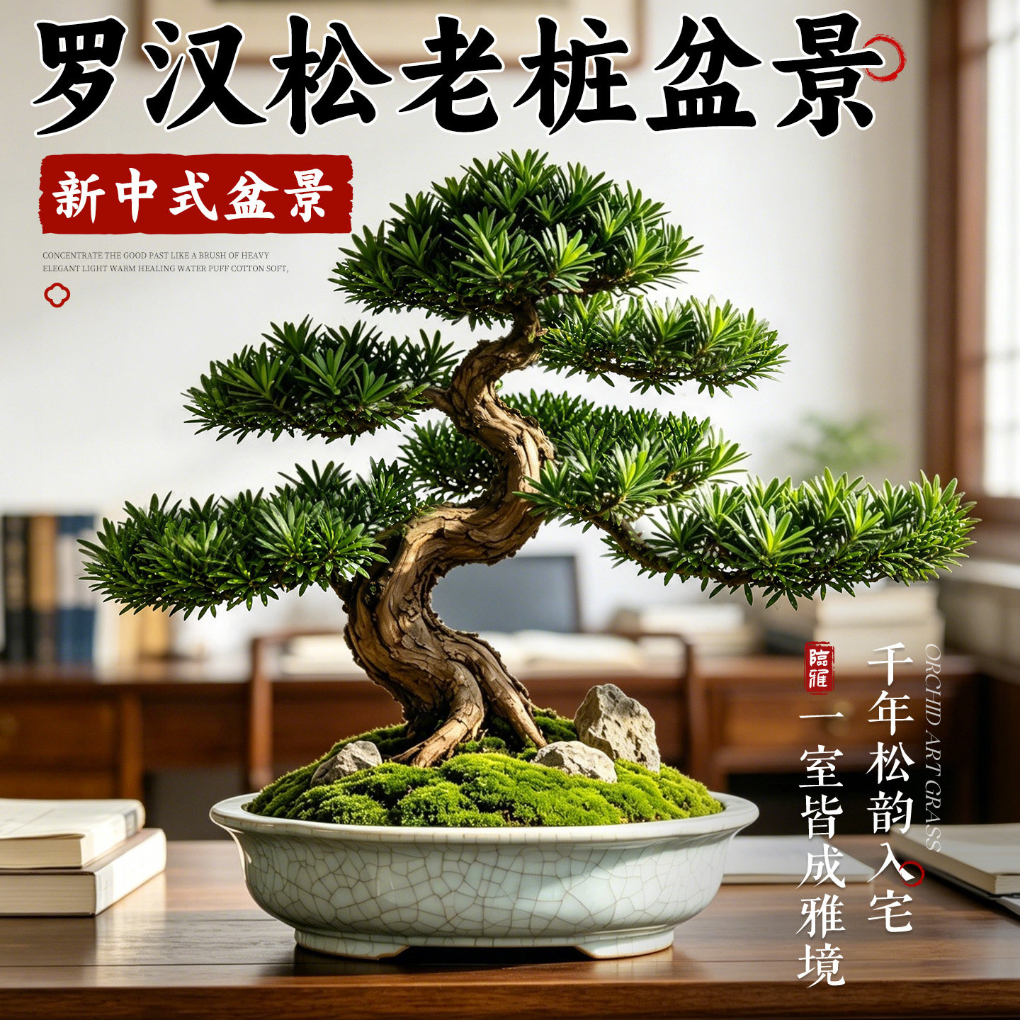 罗汉松盆景迎客松造型室内大型植物客厅绿植盆栽老桩办公室好养活