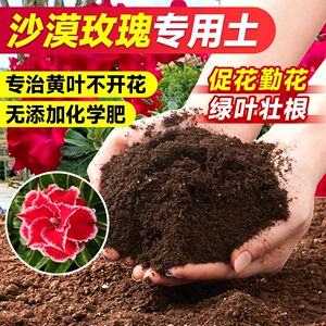 沙漠玫瑰专用土营养土养花通用专用泥炭土肥料花卉绿植家用盆栽土