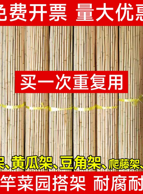 竹竿菜园搭架葡萄架蔬菜爬藤豆角架黄瓜竹杆棍篱笆栅栏防腐细竹子