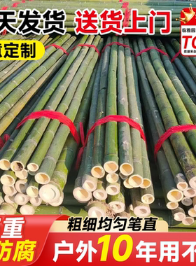 绿色防腐竹竿菜园搭架爬藤支架批发黄瓜番茄豆角架杆竹篱笆葡萄架