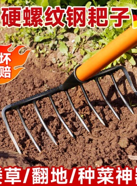 德国耙子九齿钉耙家用耙草种地