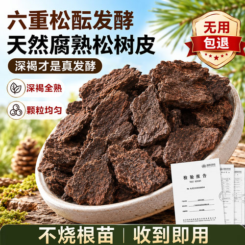 特级松树皮假一赔十认准黑褐色