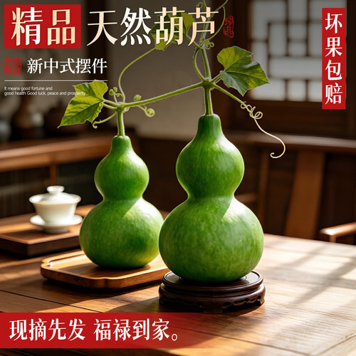 5A级天然翡翠葫芦摆件