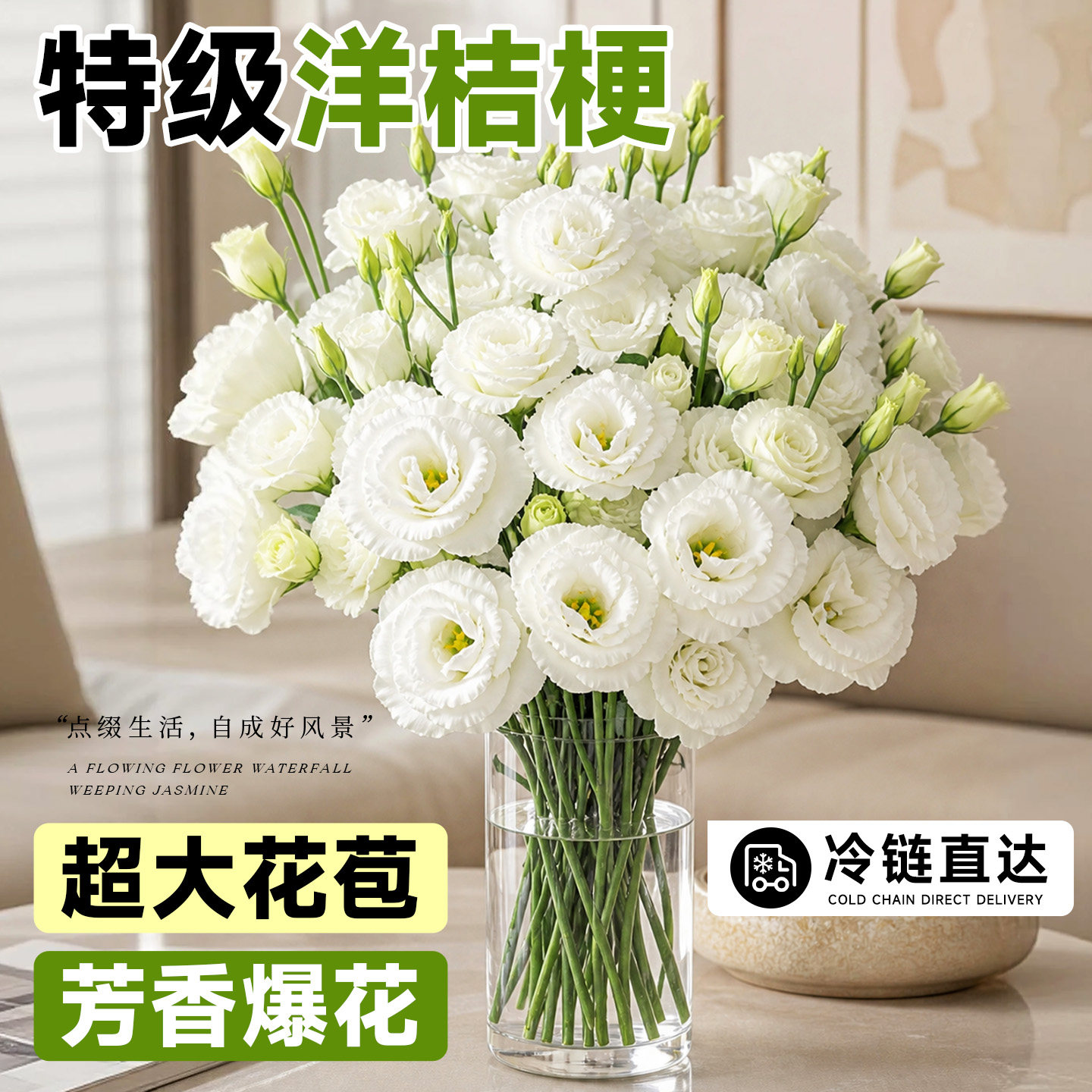 【当季现摘】洋桔梗爆花机器图片