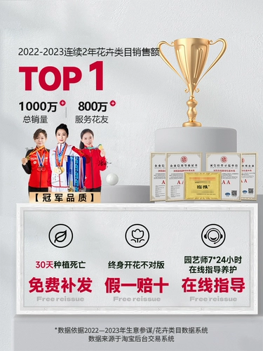 Пожарные цветочные скалолазания расцветают все сезоны цветы