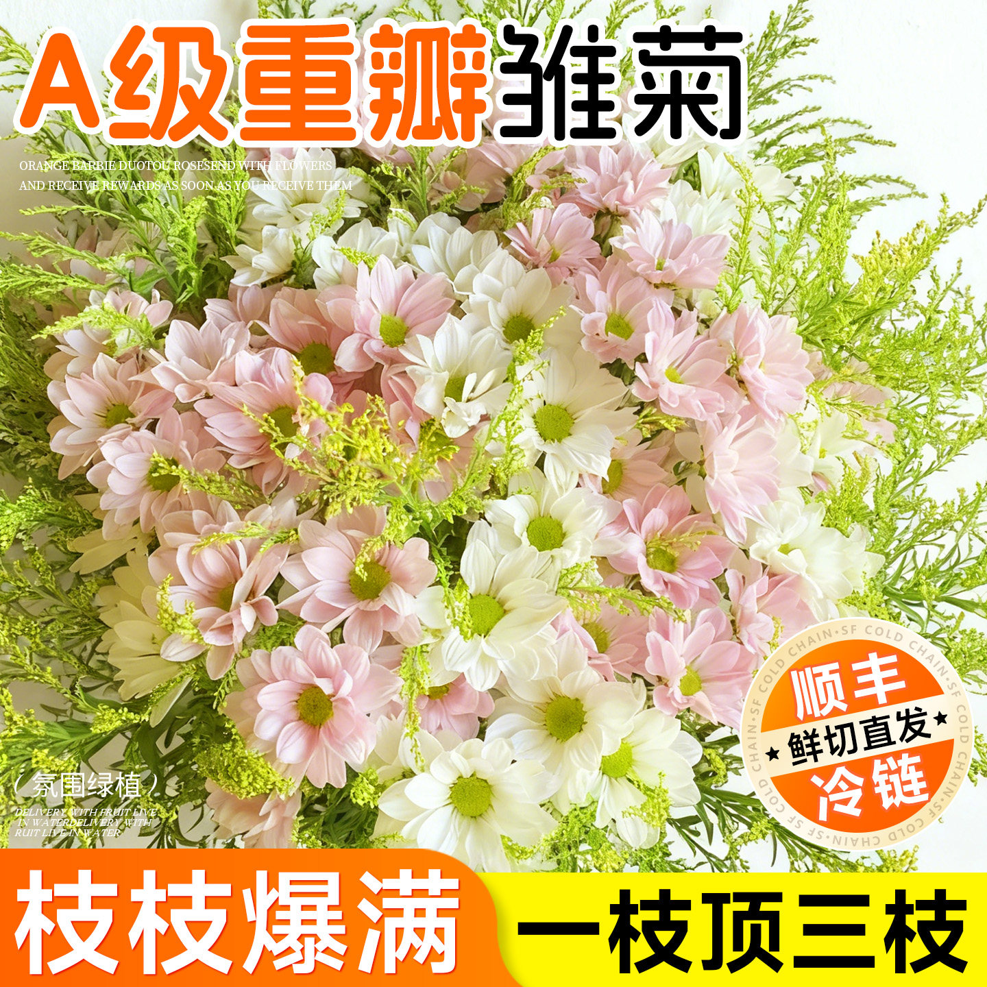 小雏菊鲜花云南基地直发家用插花鲜切花卉插瓶水培花束顺丰次日达