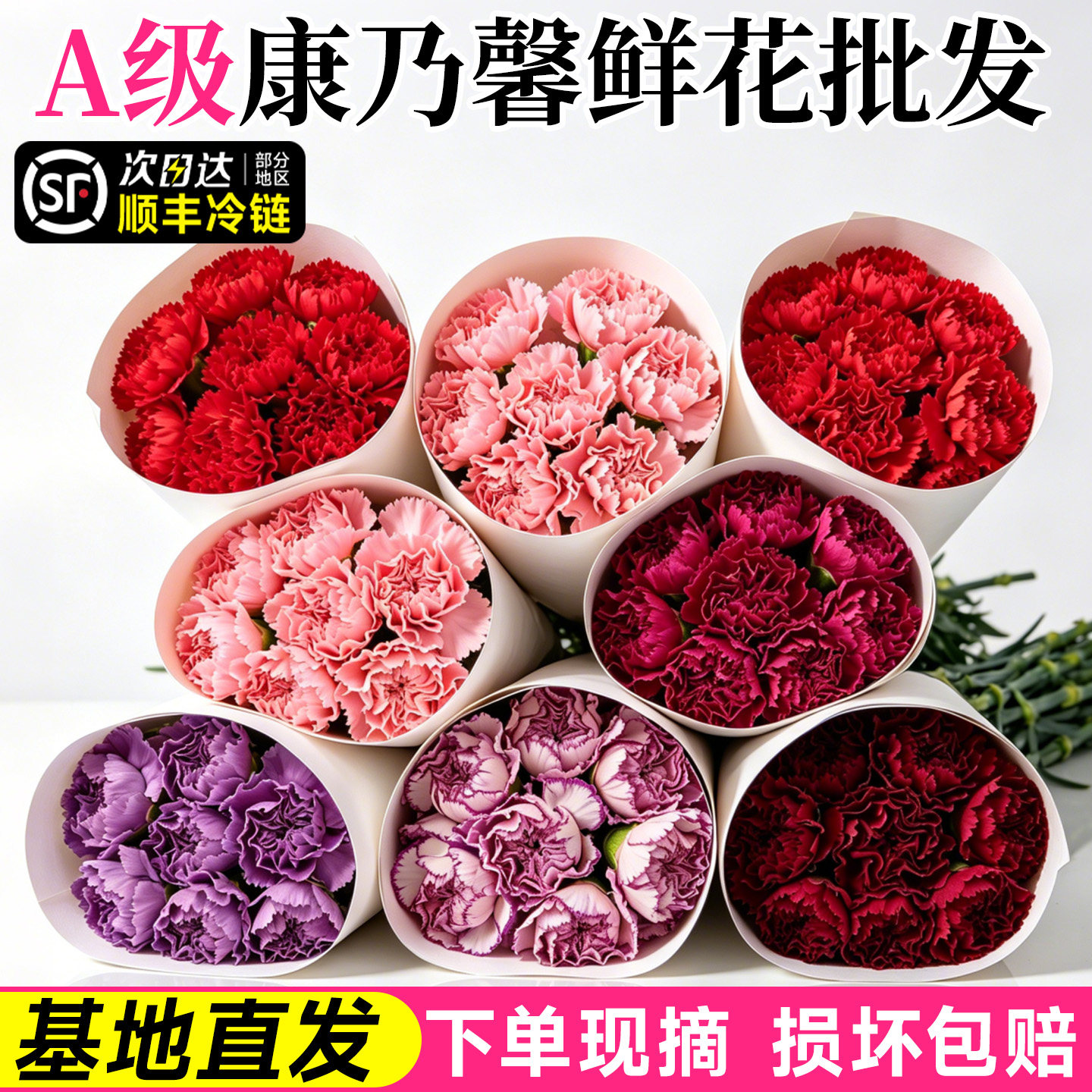 康乃馨鲜花云南基地直发花期超长的鲜切花次日达批发100支花材