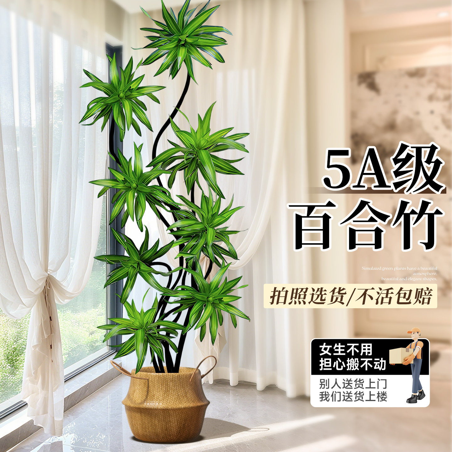 百合竹客厅绿植盆栽精品高端老桩高级感金边大型植物好养落地真花,鲜花速递/花卉仿真/绿植园艺,绿植,淘宝优惠券,粉丝福利购,淘宝优惠卷