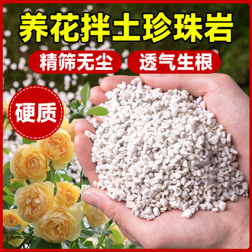 【精筛无尘珍珠岩】拌土养花专用