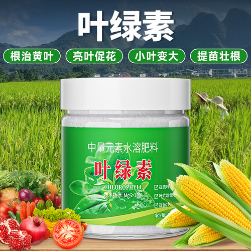叶绿素一喷黄叶变绿生根壮苗