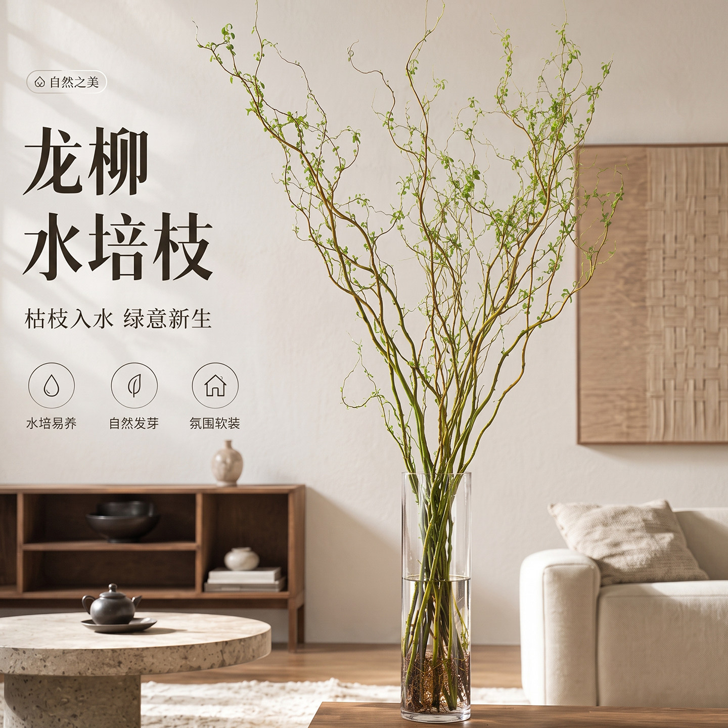 龙柳鲜枝水培植物干枝花卉绿植盆栽办公室内桌面客厅四季好养水养