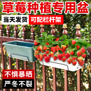 草莓专用盆阳台种菜神器家庭长条花盆户外庭院种植箱透气大号壁挂