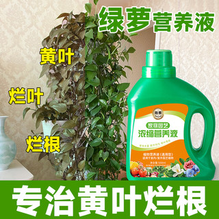 绿萝营养液肥料专用肥植物盆栽绿箩营养液花肥料家用土水培养花用