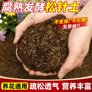 松针腐殖土天然腐叶腐熟纯君子兰花多肉泥炭营养土养花通用专用土
