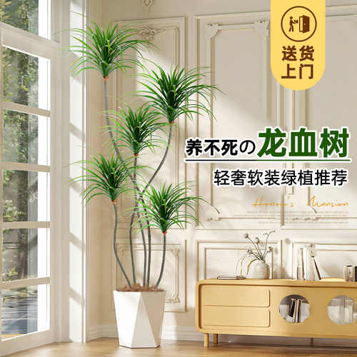 轻奢客厅彷真绿色植物龙血树龙舌兰千年木假树植物盆栽室内装饰树