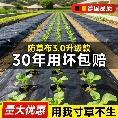 防草布新型除草布透水耐用果园果树专用防长草地膜抗老化地布地钉
