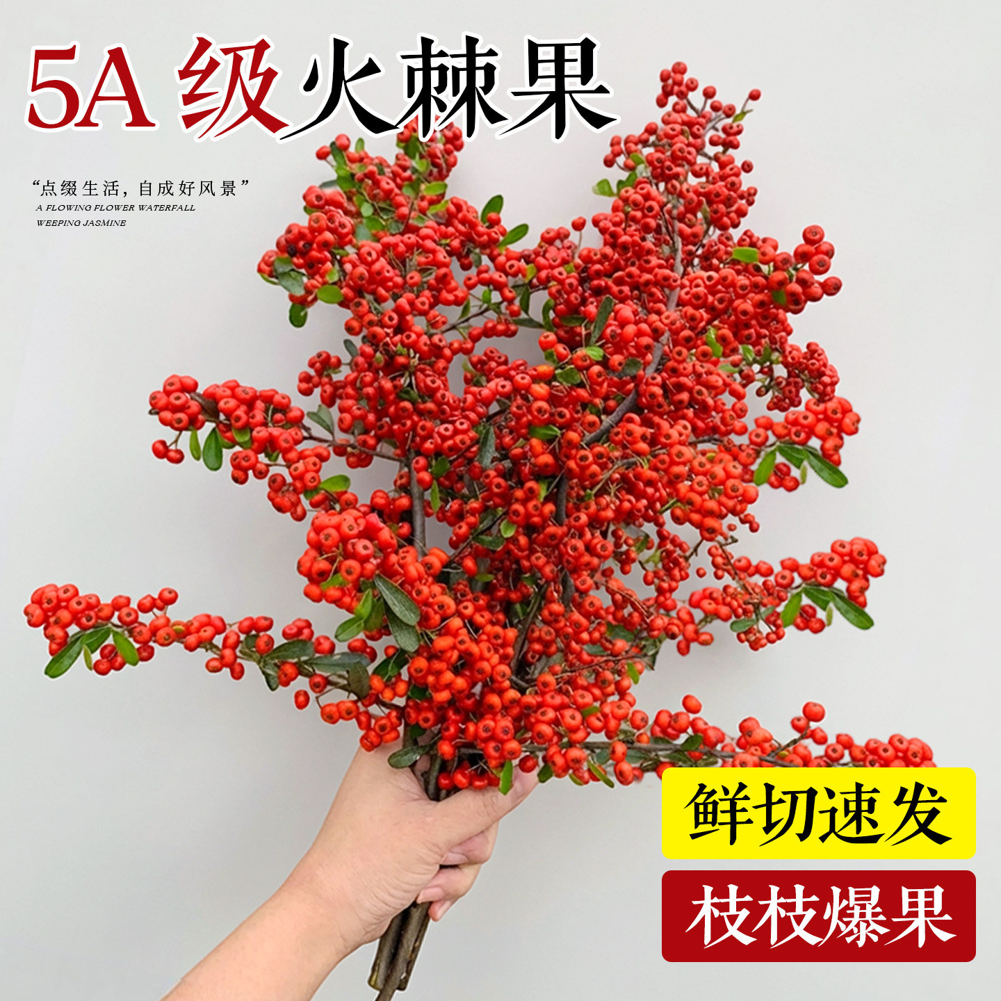 火棘果鲜切火把果小冬青客厅装饰摆件观赏插花水养鲜花卉云南直发,鲜花速递/花卉仿真/绿植园艺,花材,淘宝优惠券,粉丝福利购,淘宝优惠卷