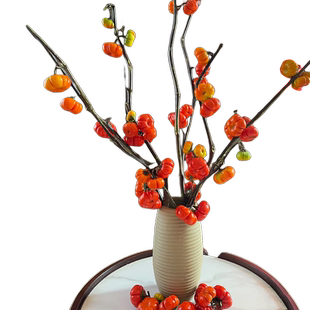 小南瓜鲜花观赏插花云南基地直发水培切枝花卉室内好养绿植物装饰