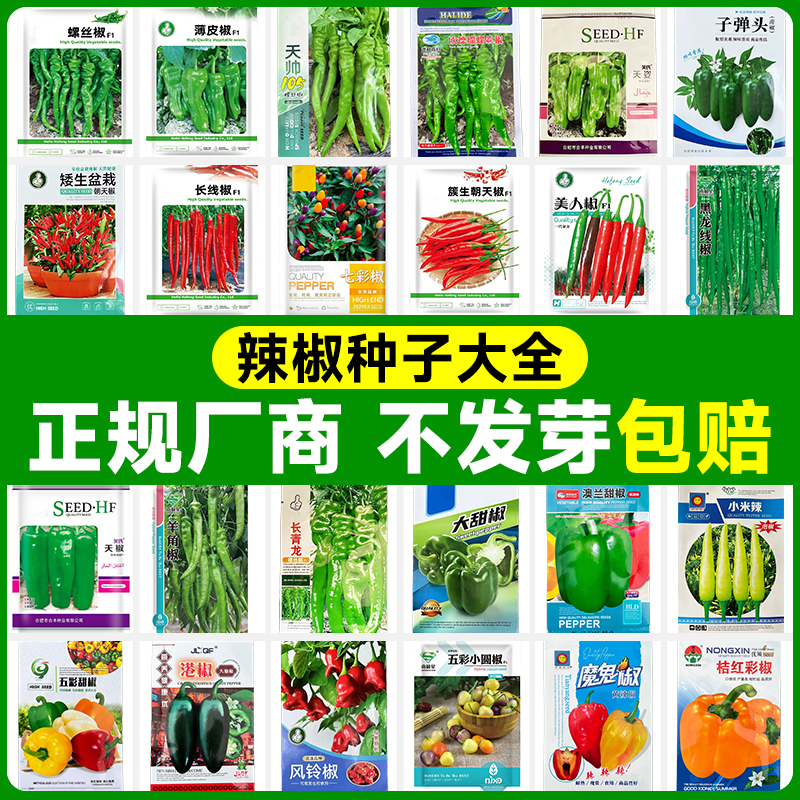 高产辣椒种子大全包邮不发芽包赔