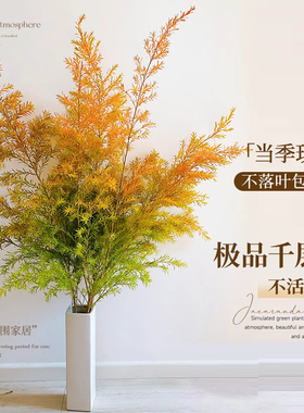 千层金鲜花树枝干树枝水培植物干花天然干花树枝树干装饰树叶叶子