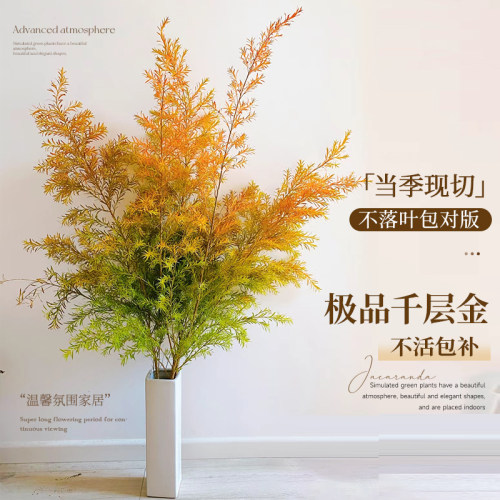 千层金鲜花树枝干树枝水培植物干燥花天然干燥花树枝树干装饰树叶