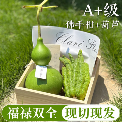 【A+级】佛手柑葫芦