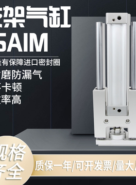 亚德客型带导向支架气缸TSAIM/TSAIL32 40 50 63 80 100X50X1000S