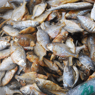 湖南农家自晒未去肚磅礴鱼半边屎苦皮鱼苦弹弓