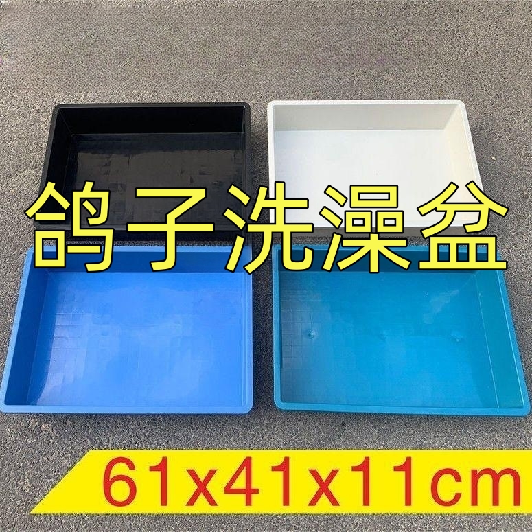 鸽子洗澡盆赛鸽信鸽专用大号浴盆加厚防摔用品用具塑料方盆养殖箱