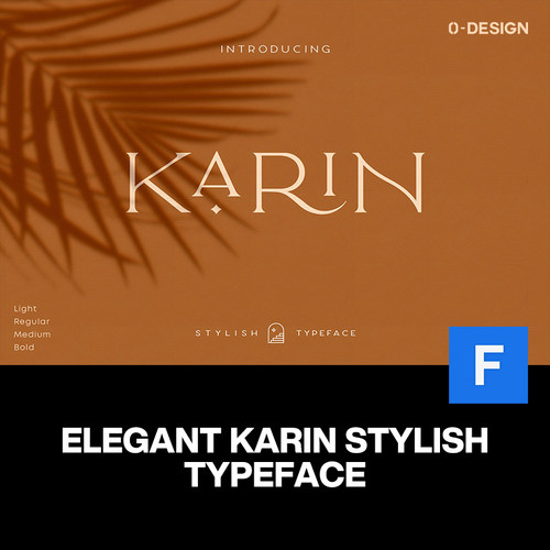 Karin优雅轻奢现代华丽复古装饰服装品牌logo标题衬线英文字体