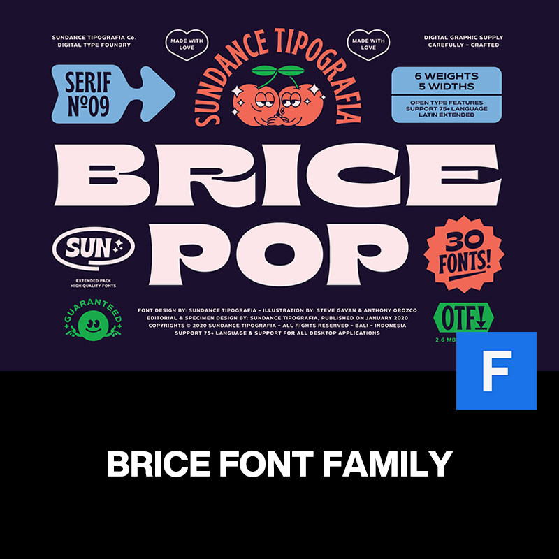 30款brice潮流复古80年代酸性逆反差潮牌卡通装饰英文字体家族