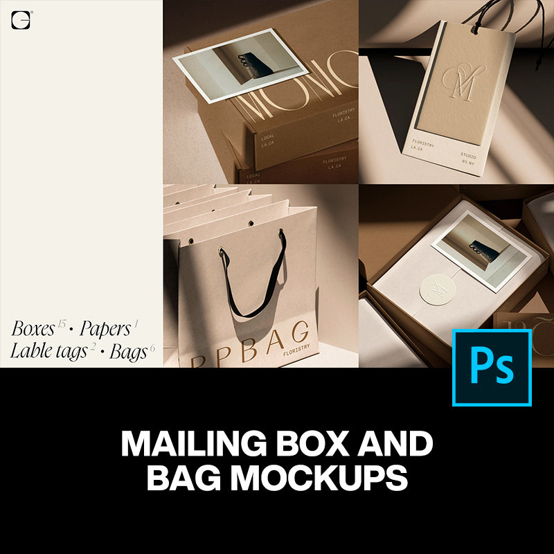 24款快递打包飞机盒纸盒购物袋拎袋包装设计作品展示效果图ps样机