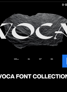 Voca潮流复古酸性逆反差logo标识海报杂志封面标题衬线英文字体