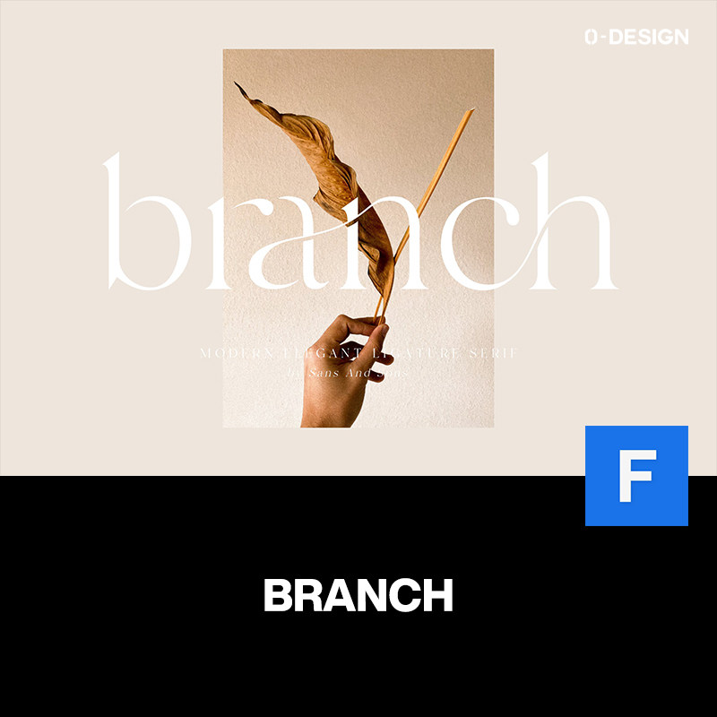 branch现代经典轻奢优雅时尚服装品牌logo杂志标题装饰英文字体