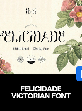 Felicidade复古经典奢侈品牌广告海报画册封面标题衬线英文字体包
