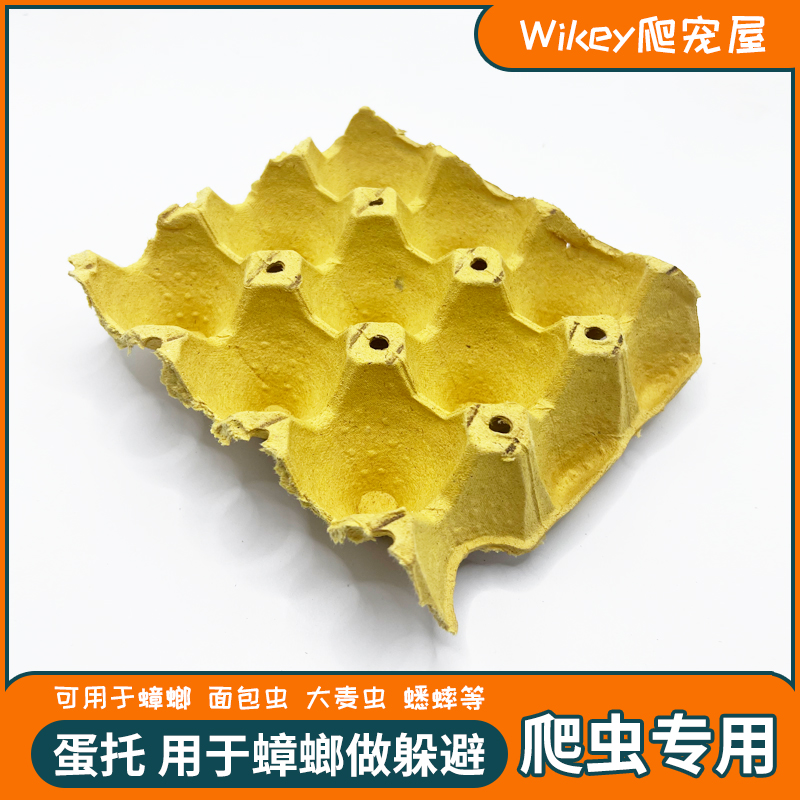 杜比亚蟑螂蛋托wikey爬宠屋便宜