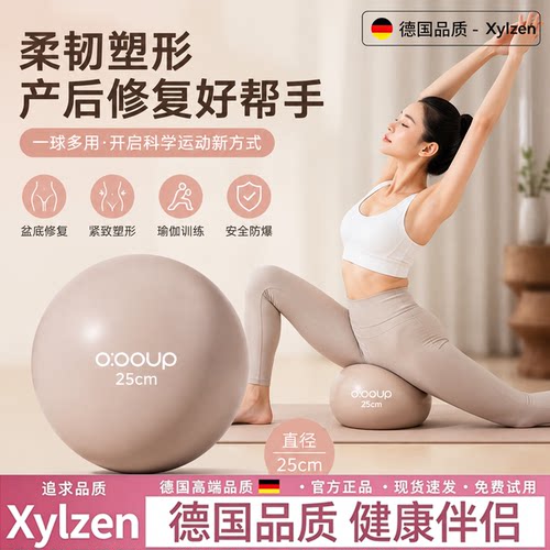 德国瑜伽小球八爪鱼产后核心修复