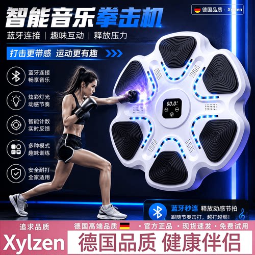 德国音乐拳击机墙靶家用训训练器