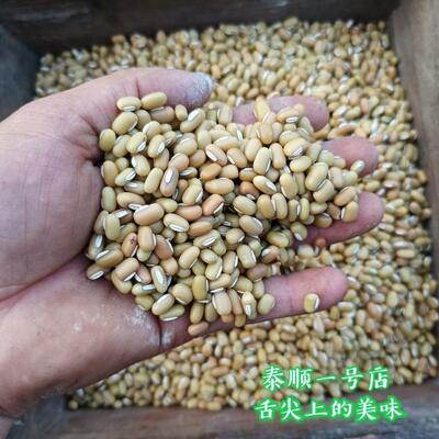 饭豆泰顺特产一号店米农家自种