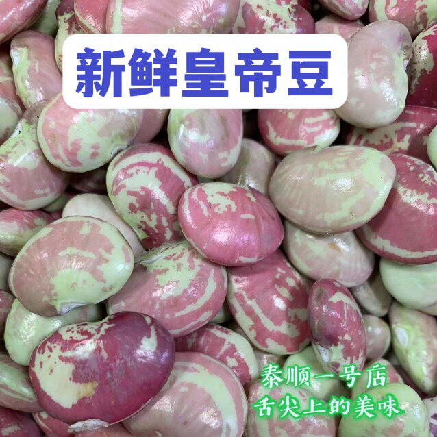 新鲜皇帝豆籽农家种植250g去壳荷包豆大肾豆花芸豆扁豆泰顺特产