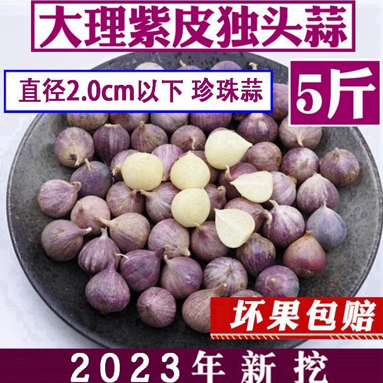 新挖紫皮鲜蒜5斤珍珠蒜云南农家新鲜大蒜头糖醋红蒜紫皮独头蒜瓣