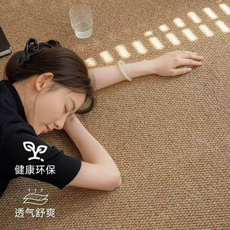 仿剑麻耐磨异形可定制客厅地毯图片