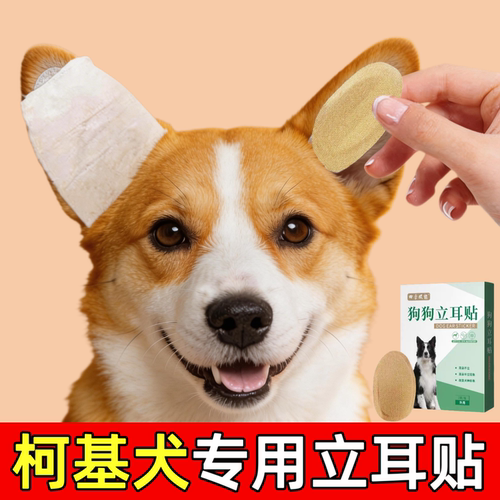 德牧柯基雪纳瑞耳朵固定辅助立耳神器幼犬立耳贴小狗竖耳器田园犬