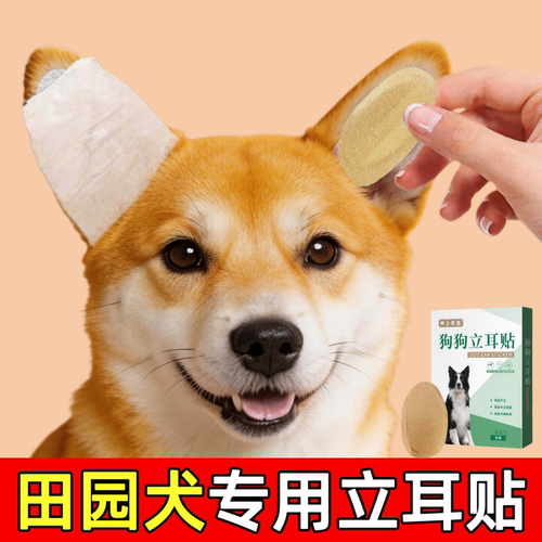 【田园犬立耳贴】80%用户购买