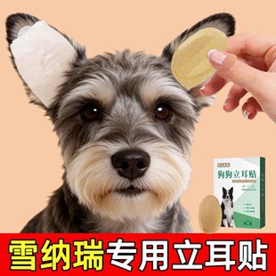 西高地雪纳瑞耳朵固定立耳神器田园犬专用立耳贴狗狗立耳朵辅助器